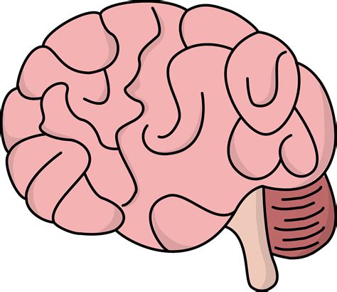 brain cartoon images